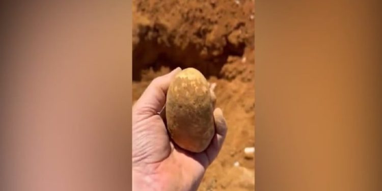 Pria Temukan Bongkahan Emas 1,2 Kg dengan Nilai Tembus Rp2,5 Miliar
