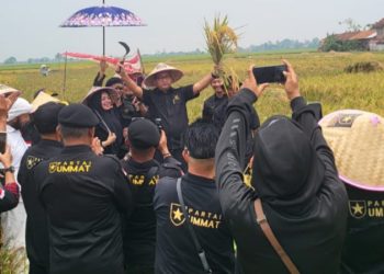 Panen Raya Bekasi, Ketua DPP Partai Ummat Dorong Ketahanan Pangan