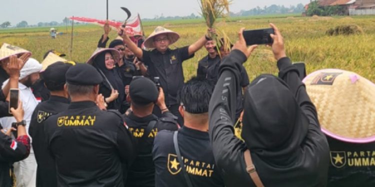 Panen Raya Bekasi, Ketua DPP Partai Ummat Dorong Ketahanan Pangan