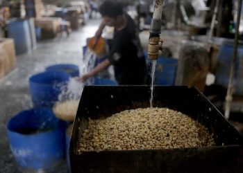 Perkuat Keberlanjutan Ekosistem Kedelai melalui Kerja Sama