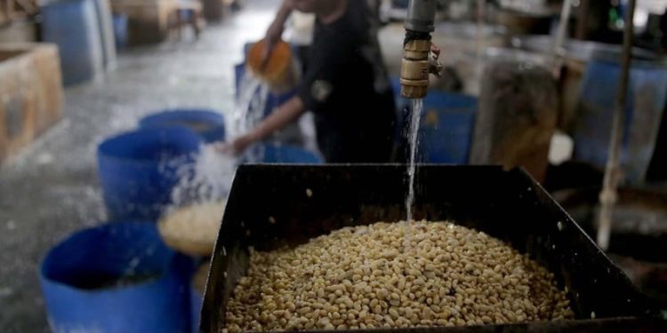 Perkuat Keberlanjutan Ekosistem Kedelai melalui Kerja Sama