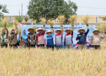 Dorong Produktivitas Padi Petani di Indramayu Meningkat hingga 65,2 Persen