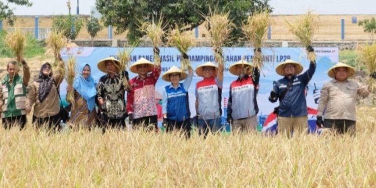 Dorong Produktivitas Padi Petani di Indramayu Meningkat hingga 65,2 Persen
