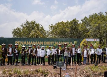 Panen Raya Nangka di Hutan Wanaboga Gunungkidul oleh Pertamina