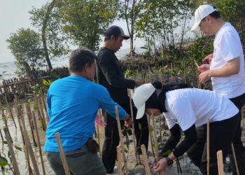 Pulihkan Ekosistem Pesisir, Tanam 1000 Bibit Mangrove di Karawang