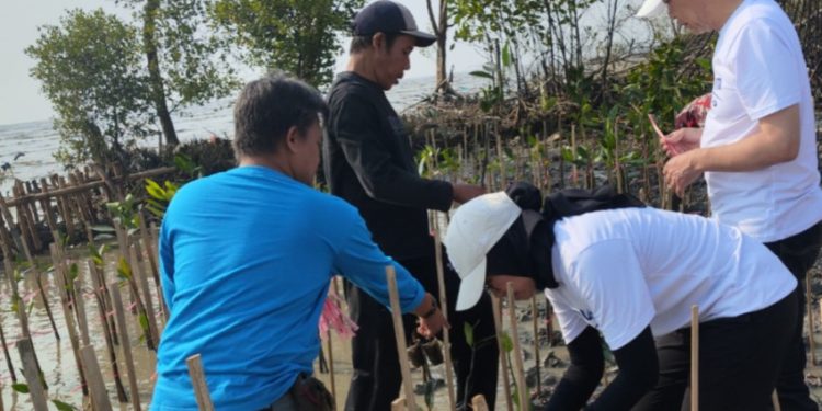 Pulihkan Ekosistem Pesisir, Tanam 1000 Bibit Mangrove di Karawang