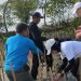 Pulihkan Ekosistem Pesisir, Tanam 1000 Bibit Mangrove di Karawang