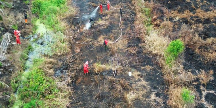 Asap Karhutla Terdeteksi di Banten dan Jabar Selain di Jakarta