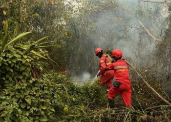 Titik Panas Meningkat, Kemenhut Tingkatkan Operasi Pengendalian Kebakaran Hutan dan Lahan