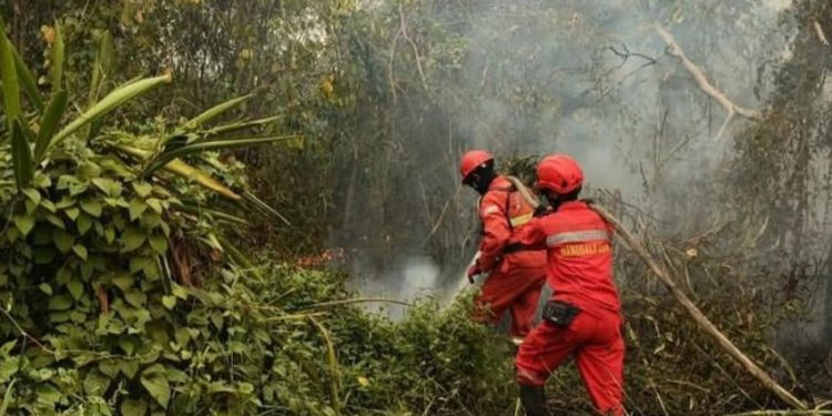 Titik Panas Meningkat, Kemenhut Tingkatkan Operasi Pengendalian Kebakaran Hutan dan Lahan