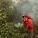 Titik Panas Meningkat, Kemenhut Tingkatkan Operasi Pengendalian Kebakaran Hutan dan Lahan